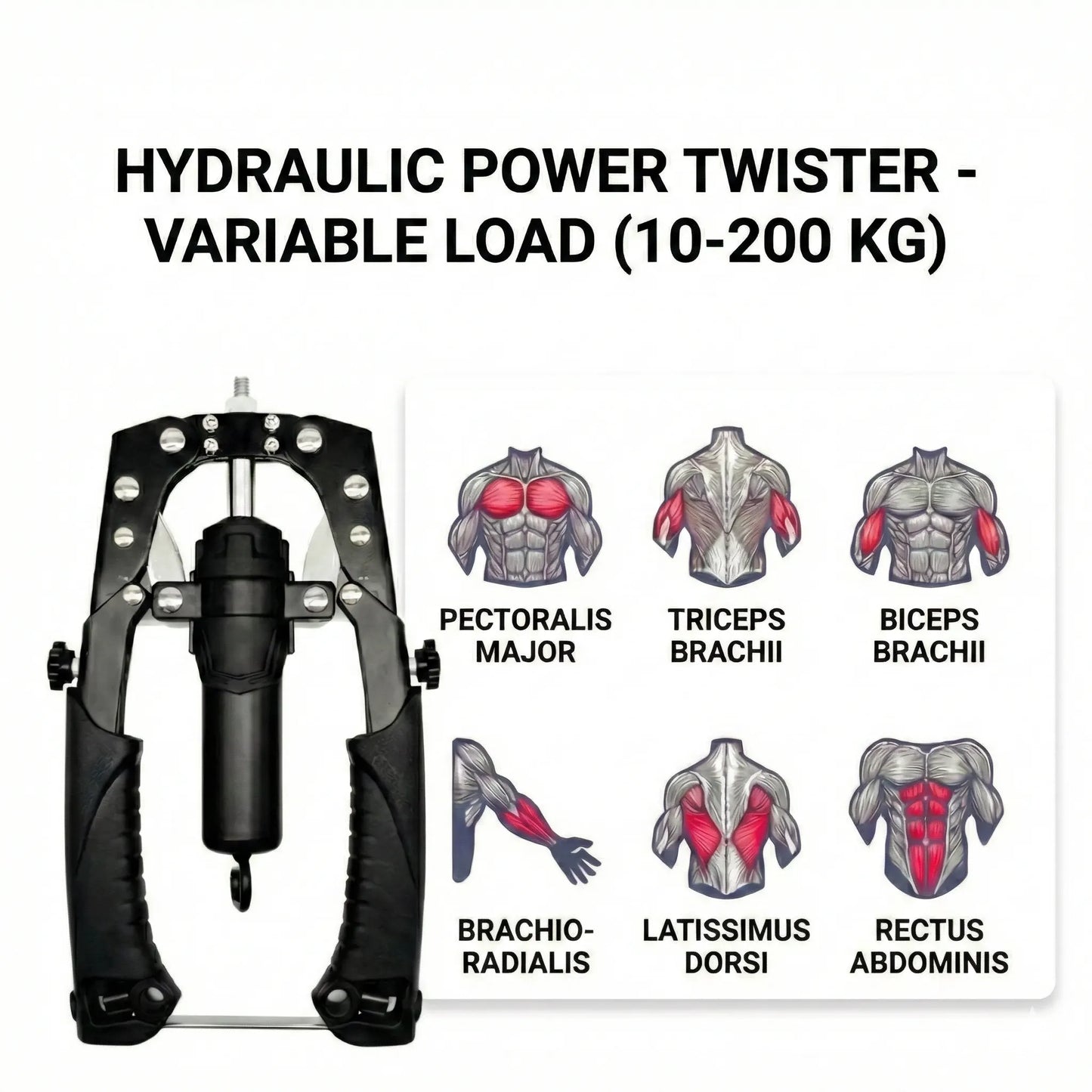 Thorax - Torso Trainer